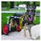 KHUY Rollstuhl für Große Hunde Hunderollstuhl Hintere Extremitäten Pet Wagenhunde-radstuhl Hinterbeine Rehabilitation, Walkin-räder Helfen Ihnen Harness (Size : Large)
