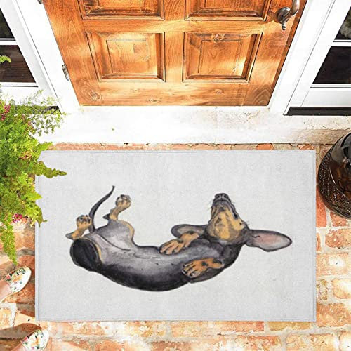 JOOCAR Door Mat Sleeping Dachshund Retro Watercolor Door Mat for Indoor, 40x60 cm, Non-slip Entrance Rug Machine Washable Soft Doormats for Kitchen Bathroom Bedroom
