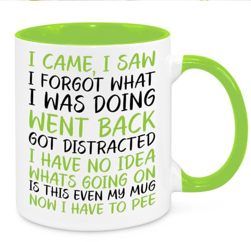 Cherish Charlie Designs I Came I Saw I Forgot Mug - Funny Novelty Gift Silly Present Mugs for Women Birthday Christmas for Mum Dad Friend Sister for Men Colleague Secret Santa Work Quotes (Green)