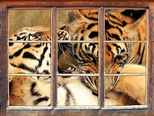 Stil.Zeit Zwei Junge Tiger beim Kämpfen Fenster im 3D-Look, Wand- oder Türaufkleber Format: 62x42cm, Wandsticker, Wandtattoo, Wanddekoration
