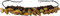 GURU SHOP Exotische Rassel Cha Cha Nut für das Fußgelenk - Armband Fußkette 1, Braun, 6x21x4 cm, Musikinstrumente