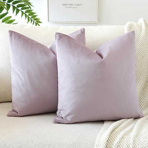 JOTOM Pack of 2 Velvet Soft Solid Cushion Covers 40x40 cm 16x16 Inch Decorative Throw Pillow Covers Square Cushion Case Home Decor Pillow Cases for Couch Sofa Living Room Bedroom (Lilac)