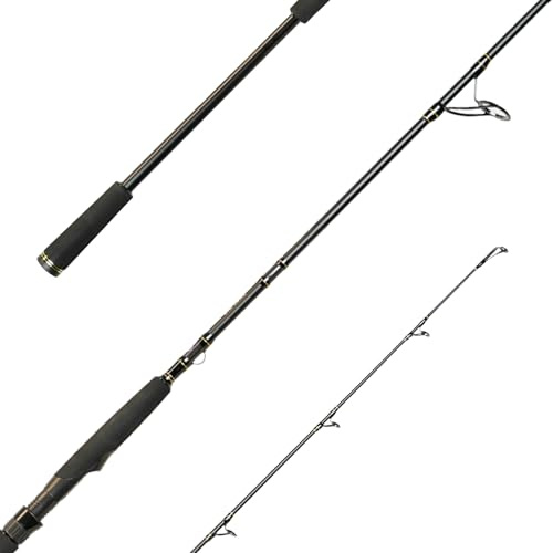 SPRO Big Lure Spin Rod - Big Bait Spinnrute, Angelrute zum Hecht und Welsangeln (2,20m 40-120g)