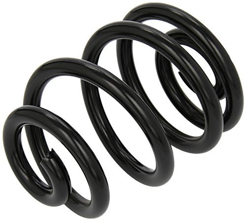 lesjofers 4208446 Coil Spring Rear
