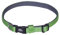 Nobby Halsband Classic Preno Mini, grün, L: 20-35 cm, B: 10 mm, 1 Stück