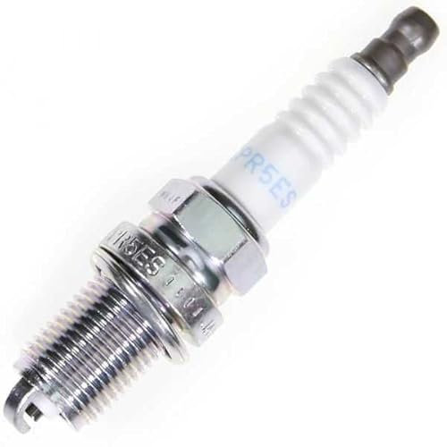 Zündkerze NGK für Rasenmäher, Kettensäge. BCPR5ES