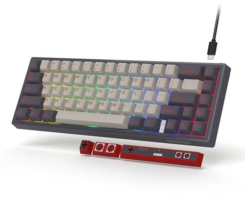 Womier VK66 Retro Keyboard, 60% Percent Keyboard with Hot Swappable, Wired Mechanical Gaming Key Board with POM Linear Switches, LED Custom Creamy Gasket Mounted, PBT Keycaps for Mac/Win,Grey
