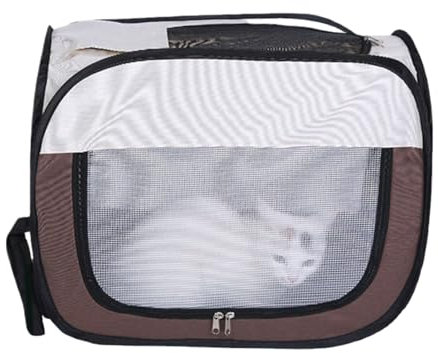 Máquina secadora para gatos - caja de secado para mascotas | Caja de secado para gatos | Caja de secado para perros pequeños |