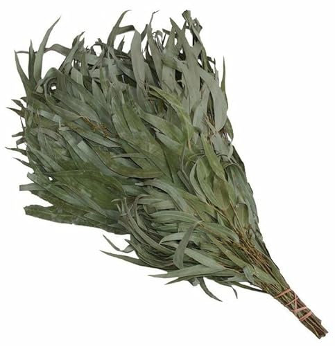 Dufte Momente | 1 x Eukalyptus Reisig, Wenik, Quast für Sauna, Banja | aus Ernte 2024 | einzeln verpackt und luftgetrocknet | mehrfach verwendbar | Länge ca. 50-60cm, Gewicht ca. 190g