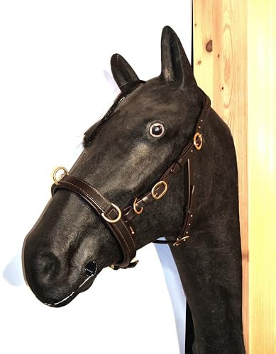 PS Pferdeartikel VARIADO 5-Fach Verstellbarer Leder Kappzaum - Anatomisch weich gepolstertert Größe Full - Braun mit silbernem Beschlag