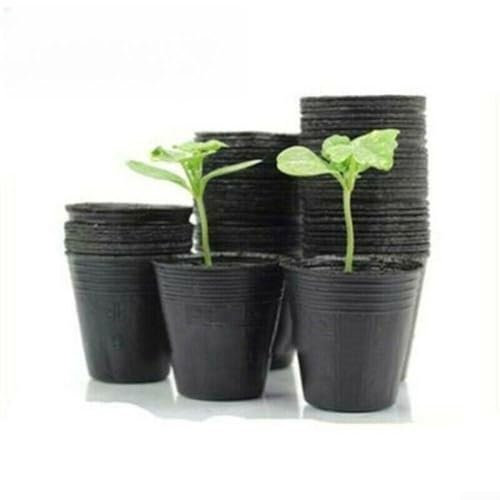Sustainable Gardening Choice Lot de 100 pots de fleurs résistants aux intempéries 5 x 5 cm