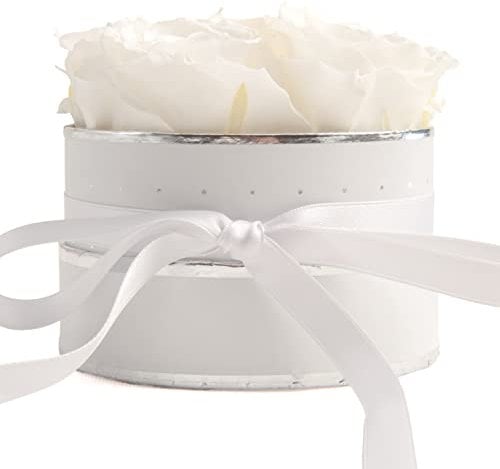 ROSEMARIE SCHULZ Heidelberg Rosenbox rund Infinity Rosen - Blumenbox Weiß 4 weiße ewige Rosen haltbar 3 Jahre Ø ca. 10cm Frauen (Small, Weiß-Weiß)