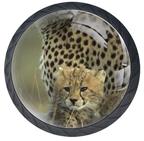 Chef Et Sommelier - Carafe à décanter Explore 1,3L - CHEF ET SOMMELIER