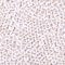 1200pcs 4×7mm Alphabet Beads White Round Acrylic Rose Gold Letter Beads, for Bracelets and Jewelry Making