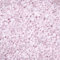 Dekogranulat/Dekosteine (2-3 mm), 1 kg, rosa