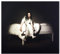 When We All Fall Asleep, Where Do We Go? [CD] 2019
