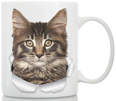 Maine Coon Kitten Ceramic Coffee Mug - Perfect Tabby Cat Gifts - Funny Mug for Cat Lovers (11oz)