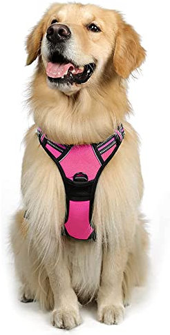 rabbitgoo Harnais Chien Anti Traction, Arnet pour Chien avec Poignée Contrôl, Facile à Mettre, Gilet Réfléchissant Réglable avec Attache Devant, Harnais pour Chien Petit Moyen et Grand, Rose Rouge, XL