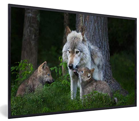 Poster Bilder Wanddeko Deko Wohnzimmer 120x80 cm Wolf - Moos - Wald - Welpe
