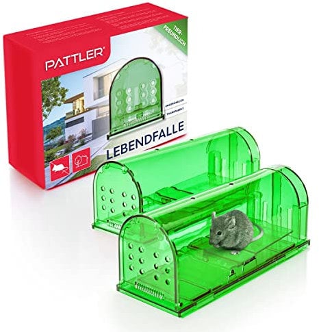 PATTLER® - XXL Mäusefalle lebend - 2 Stück Grün | extra große Lebendfalle | tierfreundlich Mäuse, Ratten oder Kleintiere fangen - mit Luftlöchern | für Haus, Garage oder Garten