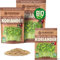 ZenGreens® - Bio Koriander Samen - Wähle zwischen 10g 200g und 500g -Koriandersamen mit Keimrate von über 97% - Keimsprossen - Koriandersamen Saatgut Sprossen ziehen - wiederverschließbare Verpackung