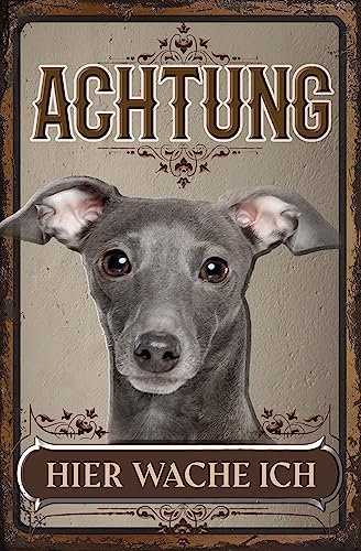 30 x 20 cm wetterfestes Blechschild, Warnhinweis, Torschild, Achtung, hier Wache ich! Warnung vor dem Hund (Windhund Grau Welpe)