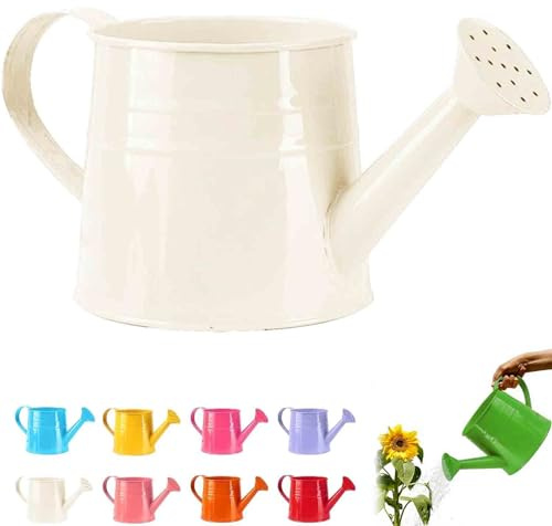 Piccolo annaffiatoio in metallo da 1L con soffione a rosa, attrezzo da giardinaggio per interno ed esterno, brocca d'acqua zincata leggera per piante d'appartamento, fiori e giardino