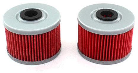 AISEN 2x Ölfilter passend für NX 650 Dominator 1990-2000 Ersetze Hiflo HF112 / K&N KN112