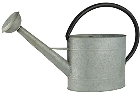 Gießkanne Zink 5 ltr von Ib Laursen