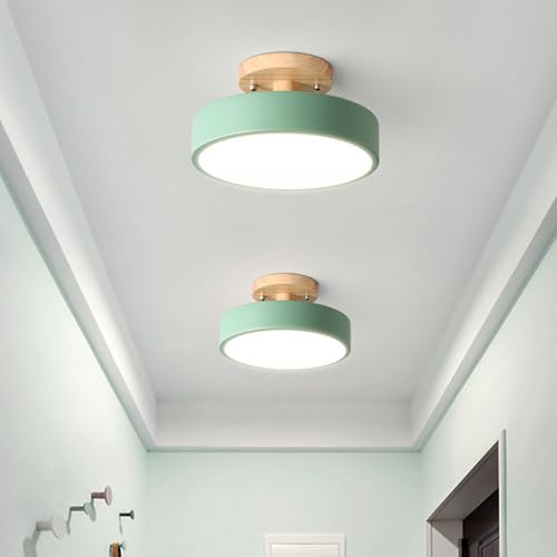 YLTLINK Modern Deckenleuchte Grün Wohnzimmer - Dimmbare Deckenlampe LED Rund & Deckenleuchte Flur Geeignet für Schlafzimmer, Schreibtime, Kinderzimmer usw