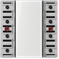 Jung KNX Tastsensor-Modul Standard, 2fach, AS 500, A 500 & A Plus, A5072TSM