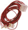 C00281986 Door Lock and Drain Pump for Indesit Washing Machine
