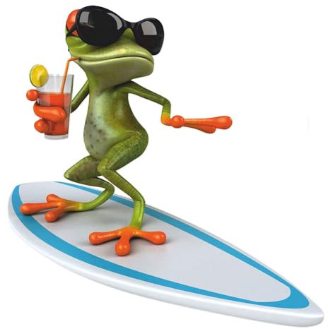 Sticker Surfer Frosch I 30 x 29 cm I für Koffer Badezimmer Duschwand Wohnmobil als Auto-Aufkleber I lustig cool wetterfest I kfz528
