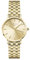 Rosefield Small Edit Champagne mit Champagne Zifferblatt und 26 mm Goldgehäuse SCGSG-S05 Edelstahl