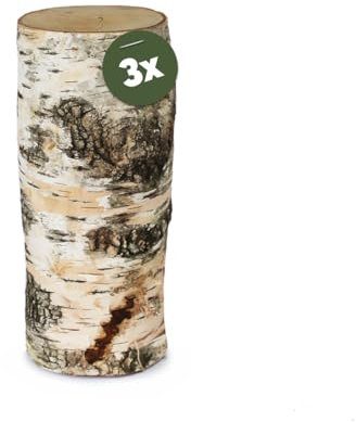 Birkenstamm Bastelholz Ø 10 x 25 cm als Holz-Deko und Bastelmaterial - 3 Stk. Birke Holz-Stämmchen als große Naturmaterial Holzstäbe - Stehende Birken-Stämmchen für Wohnung Garten Basteln