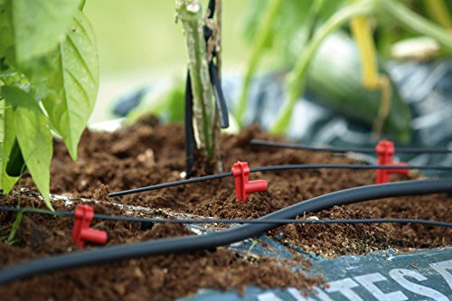 Vitavia Hydromat Erweiterungs-Set