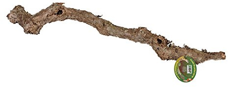 ProRep Cork Oak Branch, 80-100 cm