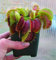 Muscipula Riesen Clip Venusfliegenfalle Samen 100pcs Insectivorous Seed Garten Pflanzensamen Bonsai Familie Topf Weiß