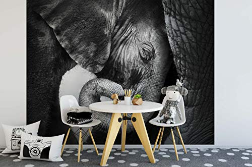 awallo Fototapete – Motiv «Elefanten» in Schwarz, Weiß | 336x260cm | XXL Bild-Tapete Wand-Bild Digitaldruck | hochwertige Vliestapete – Made in Germany | einfache Verarbeitung