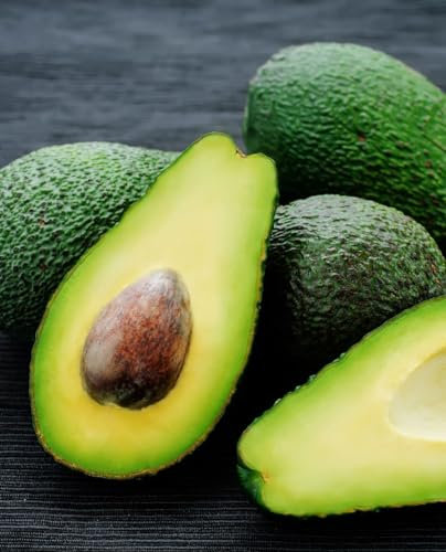 Pianta di AVOCADO ‘Fuerte' - Pianta innestata - in vaso Ø 18 cm – h. 80/100 cm