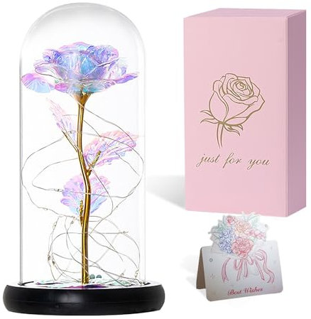 Dream Loom Die Schönheit und das Biest Rose in Plastikkuppel Ewige Rose mit LED-Lichtern Rose Blume Geschenk für Geburtstag, Jubiläum, Valentinstag, Hochzeit, Freundin, Frau, Frauen