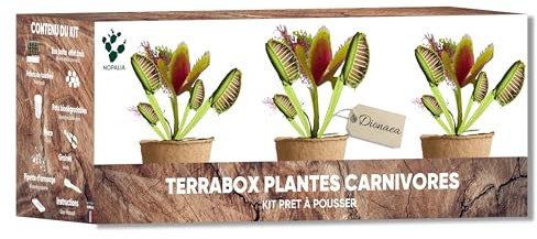Kit Plantas Carnívoras - Dionée Atrapasuemoscas - Kit completo con semillas, macetas, turba y accesorios - Regalo original e inusual - DIY Jardín Interior - Made in France
