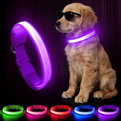 Kpuplol Leuchthalsband Hund, Hundehalsband Leuchtend Aufladbar für Nachts | Wasserdichtes LED Hundegeschirr Leuchtend, Einstellbare Größe 2 Blinkende Lichter