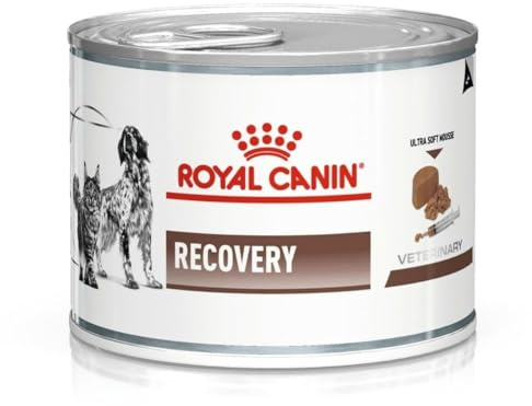 Royal Canin Vet Dog/Cat Recovery, 1er Pack (1 x 195 g)