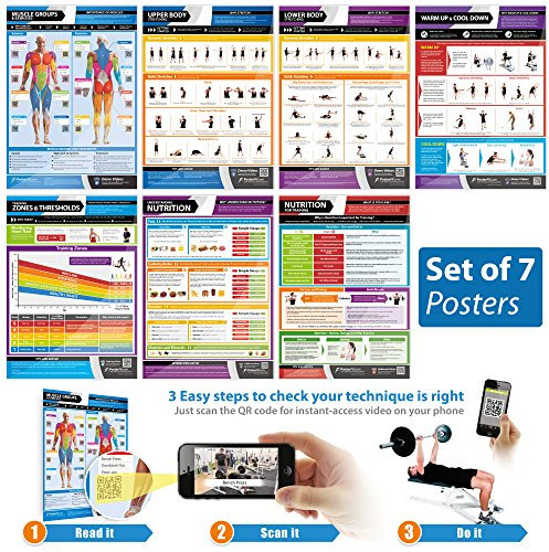Body Conditioning Gym Workout Posters - Set of 7 - LARGE - A2 (594mm x 420mm) - Laminated - Exercise and Fitrness Training Wall Charts by Posterfit.