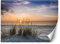 Feeby Vlies Fototapete Strand Meer Gras Sand 300x210 cm Orange Wanddeko Inklusive Kleister Hotel Spa Büro Wohnzimmer Schlafzimmer Flur Sonnenuntergang