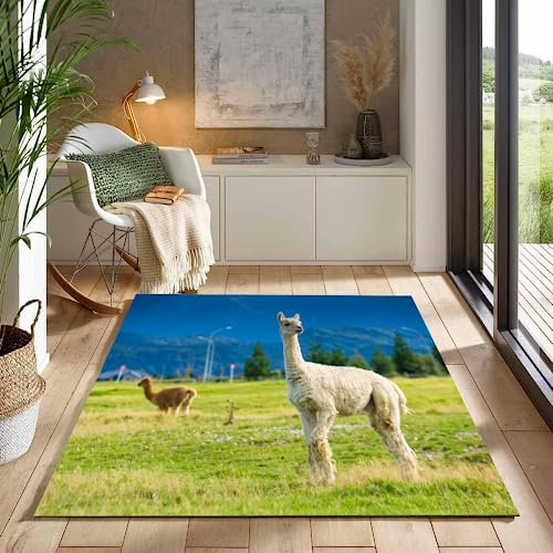 ITOMEN Kurzflor Teppich 3D Alpaka Teppich Matten rutschfeste FußMatte Süße Tiere Muster Kinder Spielteppiche FüR Schlafzimmer Flur Wohnzimmer Boden Teppich 80x120 cm