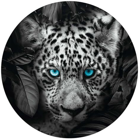 REINDERS Glasbild, Leopard, Kinderzimmer, Poster, Wanddeko, Glasbilder, Glas, Schwarz-Weiß, Ø 70