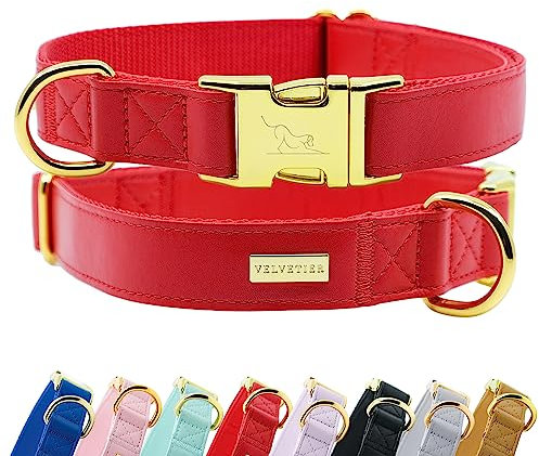 Halsband Hund von VELVETIER® | Stilvolles Hundehalsband aus veganem Mikrofaser Leder | Für kleine & große Hunde (S/M: 29 - 41cm, Milano (Rot))