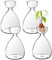 cenryusa Kleine Avocado-Samen-Startervase, Avocado-Baum-Anzuchtvasen-Set, Avocado-Samen, Sprossen, Startervase, Pflanzgefäß, einfaches Samen, Sprossen-Starter, Geschenk, Pflanzglas, Geschenk für